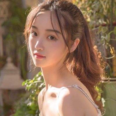 精灵甲板英雄游戏下载